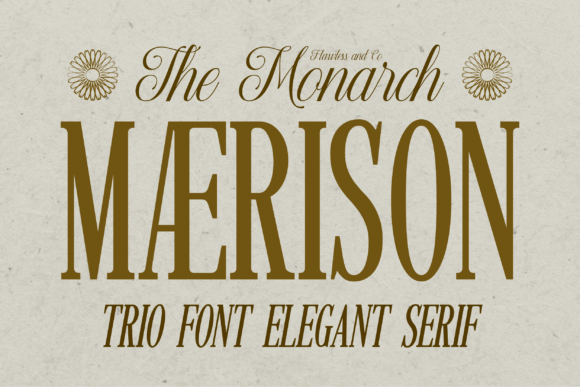 Maerison: A Harmonious Trio for Elegant Design
